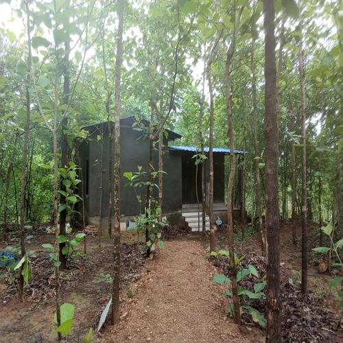 Cocoon Farmstay